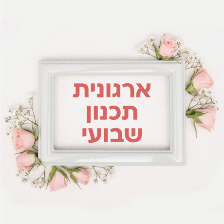 ארגונית תכנון שבועי